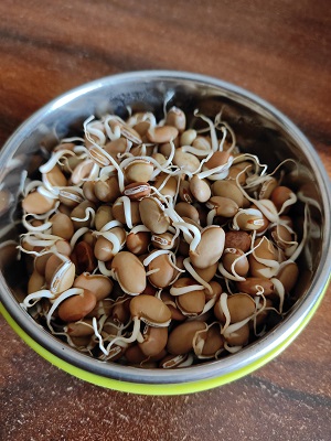 Valachi Khichadi | Dalimbi Bhaat | Vaal Bhaat (वालाची खिचडी / डाळिंबी भात) Valachi Khichadi | Dalimbi Bhaat | Vaal Bhaat (वालाची खिचडी / डाळिंबी भात) https://thespicycafe.com/wp-content/uploads/2023/03/03-valachi-khichdi-khichadi-maharashtrian-traditional-authentice-dalimbi-bhat-bhaat-masale-bhat-vegan-vegetarian-festive-easy-quick-simple-indian-pulao-biryani-kadve-vaal-1.jpg https://thespicycafe.com/valachi-khichdi-dalimbi-bhaat-recipe/