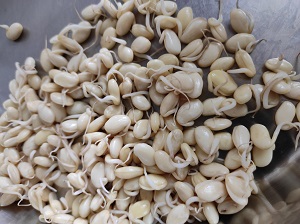 Valachi Khichadi | Dalimbi Bhaat | Vaal Bhaat (वालाची खिचडी / डाळिंबी भात) Valachi Khichadi | Dalimbi Bhaat | Vaal Bhaat (वालाची खिचडी / डाळिंबी भात) https://thespicycafe.com/wp-content/uploads/2023/03/03-valachi-khichdi-khichadi-maharashtrian-traditional-authentice-dalimbi-bhat-bhaat-masale-bhat-vegan-vegetarian-festive-easy-quick-simple-indian-pulao-biryani-kadve-vaal-1.jpg https://thespicycafe.com/valachi-khichdi-dalimbi-bhaat-recipe/