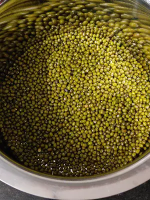 Hirvya Mugachi Usal | Green Moong Dal Curry | Green Gram Curry Hirvya Mugachi Usal | Green Moong Dal Curry | Green Gram Curry https://thespicycafe.com/wp-content/uploads/2023/05/140-green-moong-dal-curry-mung-beans-green-gram-hirvya-mugachi-usal-vegan-vegetarian-keto-protein-diabetic-friendly-simple-quick-easy-healthy-nutritious-lunch-dinner-indian-meal.jpg https://thespicycafe.com/green-moong-dal-curry/
