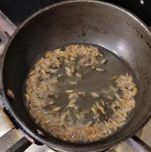 Hirvya Mugachi Usal | Green Moong Dal Curry | Green Gram Curry Hirvya Mugachi Usal | Green Moong Dal Curry | Green Gram Curry https://thespicycafe.com/wp-content/uploads/2023/05/140-green-moong-dal-curry-mung-beans-green-gram-hirvya-mugachi-usal-vegan-vegetarian-keto-protein-diabetic-friendly-simple-quick-easy-healthy-nutritious-lunch-dinner-indian-meal.jpg https://thespicycafe.com/green-moong-dal-curry/
