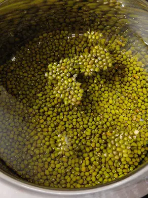 Hirvya Mugachi Usal | Green Moong Dal Curry | Green Gram Curry Hirvya Mugachi Usal | Green Moong Dal Curry | Green Gram Curry https://thespicycafe.com/wp-content/uploads/2023/05/140-green-moong-dal-curry-mung-beans-green-gram-hirvya-mugachi-usal-vegan-vegetarian-keto-protein-diabetic-friendly-simple-quick-easy-healthy-nutritious-lunch-dinner-indian-meal.jpg https://thespicycafe.com/green-moong-dal-curry/