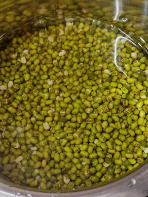 Hirvya Mugachi Usal | Green Moong Dal Curry | Green Gram Curry Hirvya Mugachi Usal | Green Moong Dal Curry | Green Gram Curry https://thespicycafe.com/wp-content/uploads/2023/05/140-green-moong-dal-curry-mung-beans-green-gram-hirvya-mugachi-usal-vegan-vegetarian-keto-protein-diabetic-friendly-simple-quick-easy-healthy-nutritious-lunch-dinner-indian-meal.jpg https://thespicycafe.com/green-moong-dal-curry/