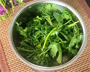 Matki Usal Recipe | मटकीची उसळ | Moth Beans Curry Matki Usal Recipe | मटकीची उसळ | Moth Beans Curry https://thespicycafe.com/wp-content/uploads/2023/12/1-matki-usal-matki-dal-moth-beans-curry-vegan-vegetarian-high-protein-easy-quick-simple-lunch-dinner-misal-pav-Maharashtrian-Indian-legume-healthy-nutritious-weightloss.png https://thespicycafe.com/matki-usal-recipe/