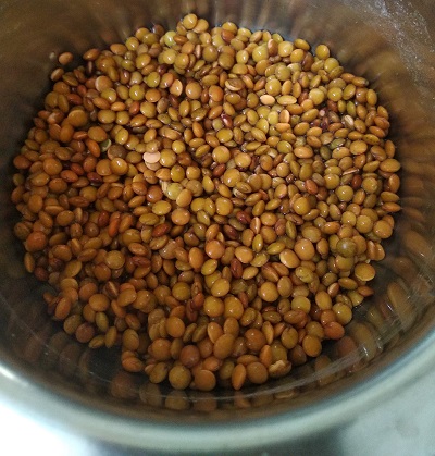 Masoor Dal | Whole Brown Lentil Curry Masoor Dal | Whole Brown Lentil Curry https://thespicycafe.com/wp-content/uploads/2023/09/1-brown-lentil-curry-vegan-saboot-sabut-masoor-dal-vegan-vegetarian-protein-rich-diabetic-friendly-Indian-curry-lunch-dinner-thespicycafe.png https://thespicycafe.com/masoor-dal-curry-brown-lentil-curry-recipe/