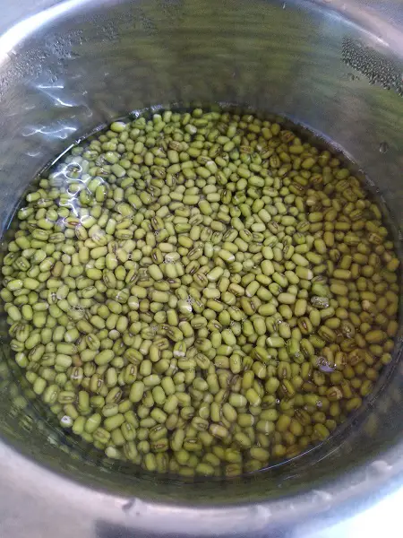 Hiravya Mugacha Dosa | Instant Green Moong Dosa Hiravya Mugacha Dosa | Instant Green Moong Dosa https://thespicycafe.com/wp-content/uploads/2022/02/2-how-to-make-moong-dal-dosa-green-moong-dal-dosa-chilla-pancake-vegan-vegetarian-glutenfree-recipe.jpg https://thespicycafe.com/hiravya-mugacha-dosa-instant-green-moong-dosa-recipe/