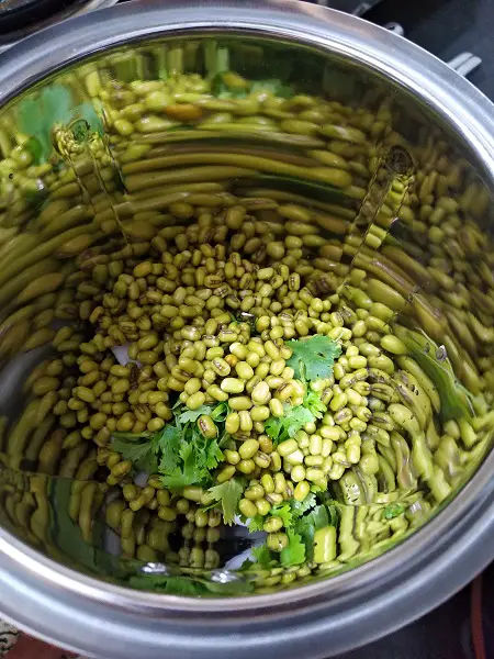 Hiravya Mugacha Dosa | Instant Green Moong Dosa Hiravya Mugacha Dosa | Instant Green Moong Dosa https://thespicycafe.com/wp-content/uploads/2022/02/2-how-to-make-moong-dal-dosa-green-moong-dal-dosa-chilla-pancake-vegan-vegetarian-glutenfree-recipe.jpg https://thespicycafe.com/hiravya-mugacha-dosa-instant-green-moong-dosa-recipe/