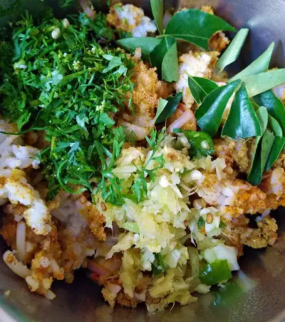 Bhatache Vade | Rice Pakora | Chawal Ke Pakore Bhatache Vade | Rice Pakora | Chawal Ke Pakore https://thespicycafe.com/wp-content/uploads/2022/04/final-bhatache-vade.jpg https://thespicycafe.com/bhatache-vade-chawal-ke-pakore-recipe/