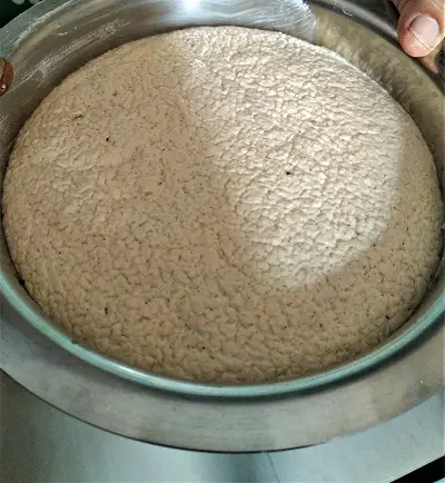 Jowar Idli Recipe | Sorghum Idli Recipe Jowar Idli Recipe | Sorghum Idli Recipe https://thespicycafe.com/wp-content/uploads/2022/04/IMG_20220404_151028.jpg https://thespicycafe.com/jowar-idli-recipe/