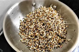 Mod Alelya Matki Chi Usal Maharashtrian Style - Moth Beans Curry Mod Alelya Matki Chi Usal Maharashtrian Style - Moth Beans Curry https://thespicycafe.com/wp-content/uploads/2022/08/1661841019126.jpg https://thespicycafe.com/matki-chi-usal-maharashtrian-style/