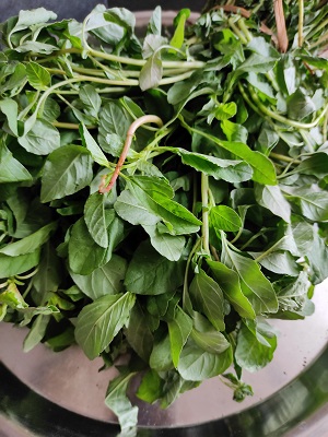 Chavali Chi Bhaji | Chavali Chi Palebhaji | Green Amaranth Sabji Chavali Chi Bhaji | Chavali Chi Palebhaji | Green Amaranth Sabji https://thespicycafe.com/wp-content/uploads/2022/11/1668929428120.jpg https://thespicycafe.com/chavali-palebhaji-amaranth-sabji/