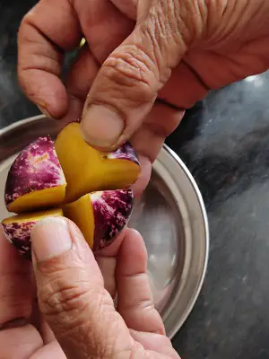 Bharli Vangi Maharashtrian Style | Stuffed Eggplant Curry Indian Recipe Bharli Vangi Maharashtrian Style | Stuffed Eggplant Curry Indian Recipe https://thespicycafe.com/wp-content/uploads/2023/08/1-bharli-vangi-bharwa-baingan-stuffed-eggplants-aubergine-peanut-curry-vegan-vegetarian-easy-quick-simple-brinjal-curry-lunch-dinner-gravy-indian-maharashtrian-vangi.png https://thespicycafe.com/bharli-vangi/