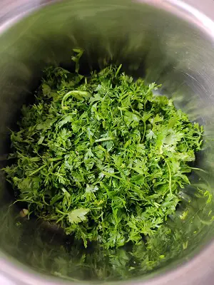 Easy Maharashtrian Kothimbir Vadi Without Steaming Easy Maharashtrian Kothimbir Vadi Without Steaming https://thespicycafe.com/wp-content/uploads/2023/01/kothimbir-vadi-maharashtrian-traditional-vegan-vegetarian-Indian-recipe.jpg https://thespicycafe.com/easy-maharashtrian-kothimbir-vadi-without-steaming/