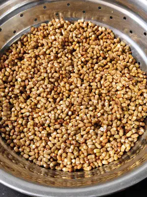 How To Sprout Matki (Moth Beans) How To Sprout Matki (Moth Beans) https://thespicycafe.com/wp-content/uploads/2023/03/8-how-to-sprout-matki-moth-beans-vegetarian-vegan-gluten-free-diabetic-friendly-fiber-rich-indian-legumes-lentils-beans.jpg https://thespicycafe.com/how-to-sprout-matki-moth-beans/
