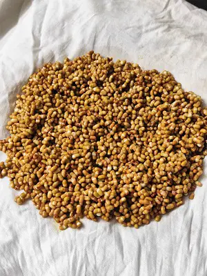How To Sprout Matki (Moth Beans) How To Sprout Matki (Moth Beans) https://thespicycafe.com/wp-content/uploads/2023/03/8-how-to-sprout-matki-moth-beans-vegetarian-vegan-gluten-free-diabetic-friendly-fiber-rich-indian-legumes-lentils-beans.jpg https://thespicycafe.com/how-to-sprout-matki-moth-beans/