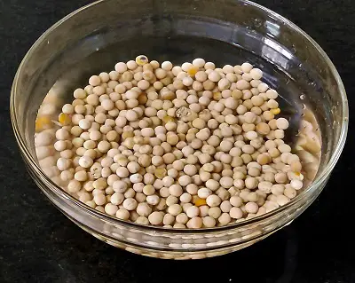 Ragda Pattice (Ragda Patties) Ragda Pattice (Ragda Patties) https://thespicycafe.com/wp-content/uploads/2023/05/ragda-pattice-maharashtrian-street-food-mumbai-chaat-recipe-vegan-vegetarian-easy-quick-simple-snack-brunch-breakafast-lunch-dinner.png https://thespicycafe.com/ragda-pattice-recipe/