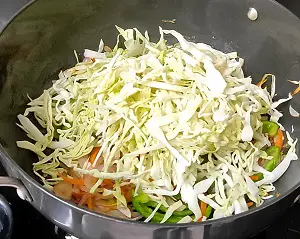 Hakka Noodles Recipe | Vegetable Hakka Noodles | व्हेज हक्का नूडल्स Hakka Noodles Recipe | Vegetable Hakka Noodles | व्हेज हक्का नूडल्स https://thespicycafe.com/wp-content/uploads/2023/10/1-hakka-noodles-vegetable-chinese-noodles-street-food-snack-Indo-Chinese-easy-quick-simple-lunch-dinner-brunch-vegan-vegetarian-thespicycafe.png https://thespicycafe.com/chinese-vegetable-hakka-noodles/