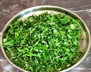 Methi Thepla Recipe | मेथी थेपला | Methi Paratha Methi Thepla Recipe | मेथी थेपला | Methi Paratha https://thespicycafe.com/wp-content/uploads/2023/12/1-methi-thepla-gujarati-breakfast-dish-vegan-vegetarian-fenugreek-paratha-easy-quick-simple-no-onion-no-garlic-satvik-Indian-recipe-lunch-dinner-brunch-snacks-.png https://thespicycafe.com/methi-thepla-recipe/
